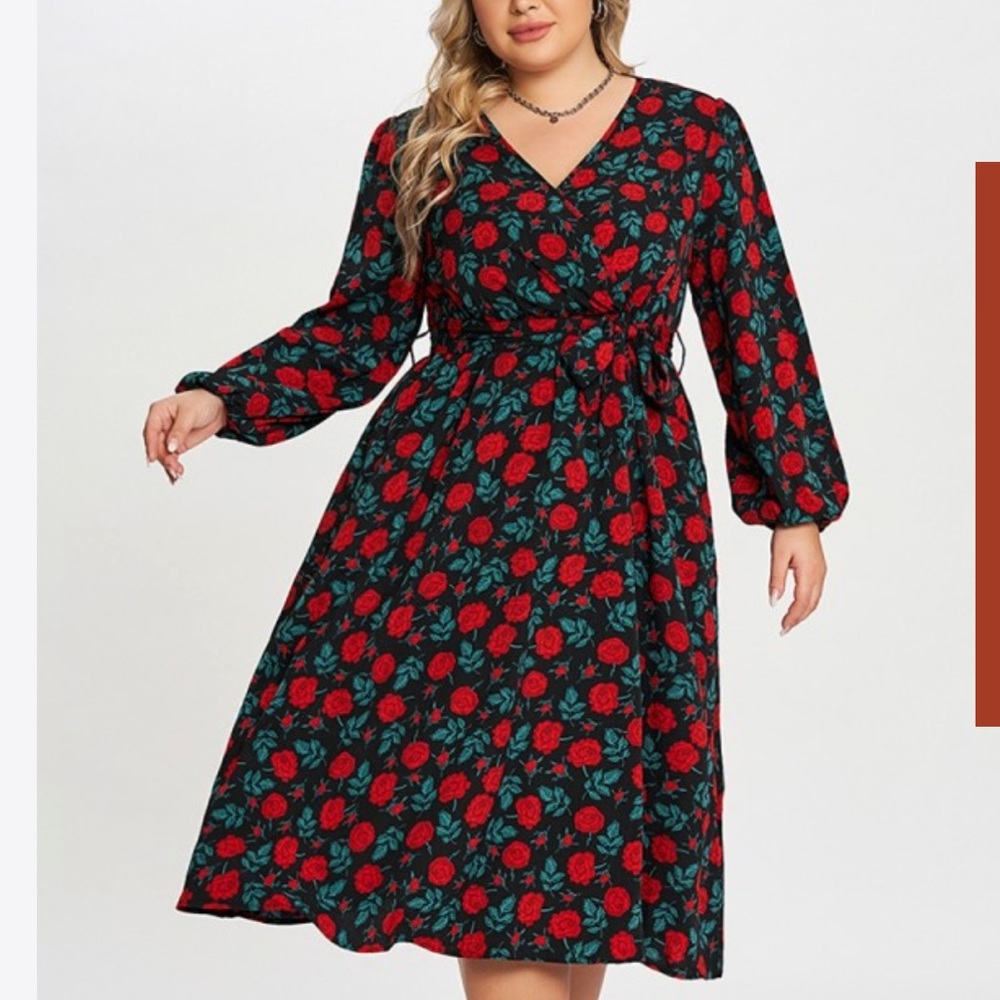 Xl meet curve dress (can fit 2x)